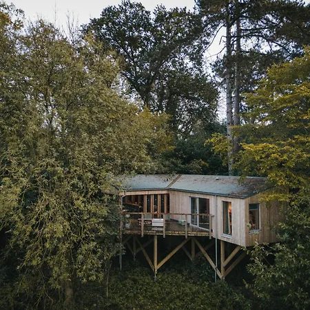 Rewildthings Treehouses Глостер Экстерьер фото