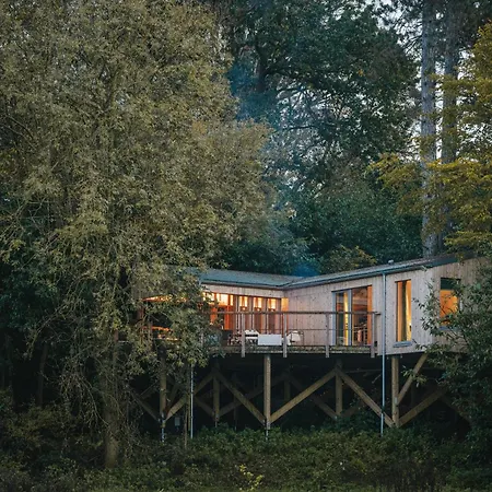 Rewildthings Treehouses Глостер Экстерьер фото