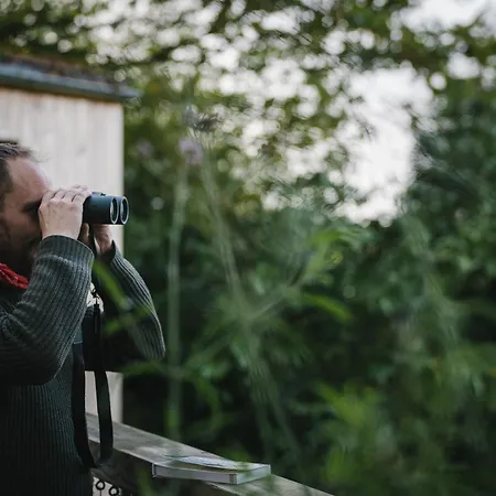 Rewildthings Treehouses Глостер Экстерьер фото