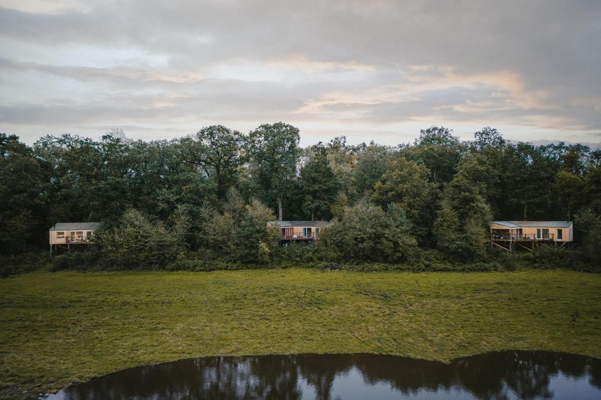 Rewildthings Treehouses Gloucester