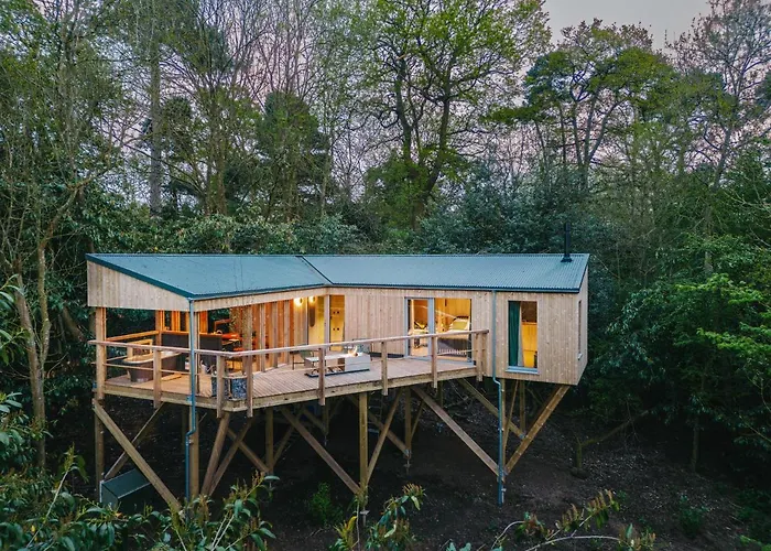 Rewildthings Treehouses