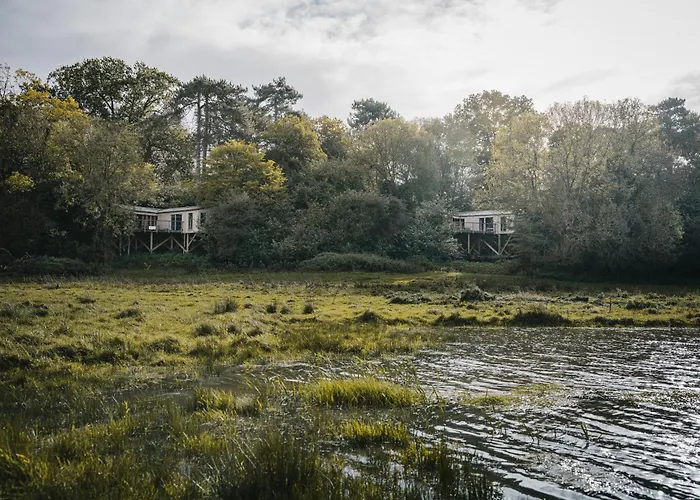 Rewildthings Treehouses