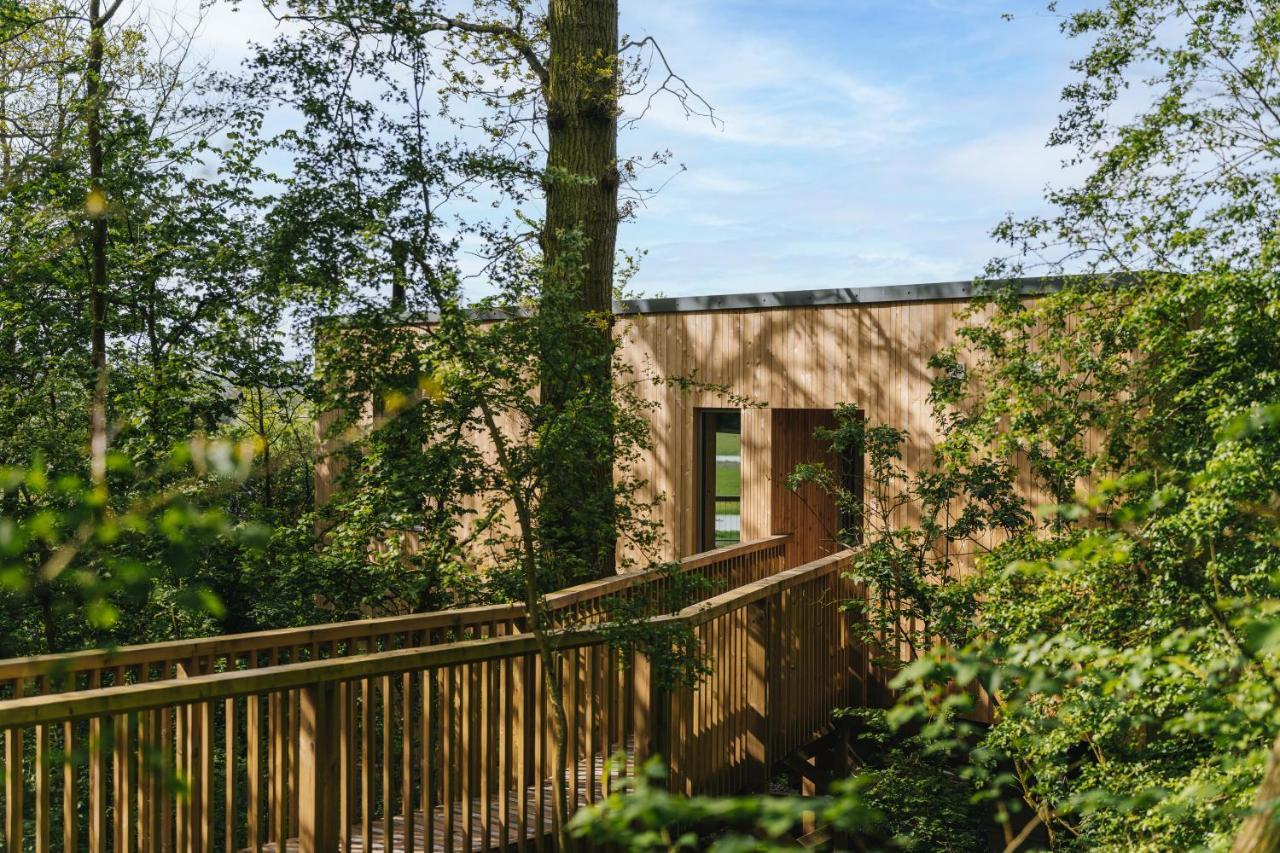 Rewildthings Treehouses Chalet