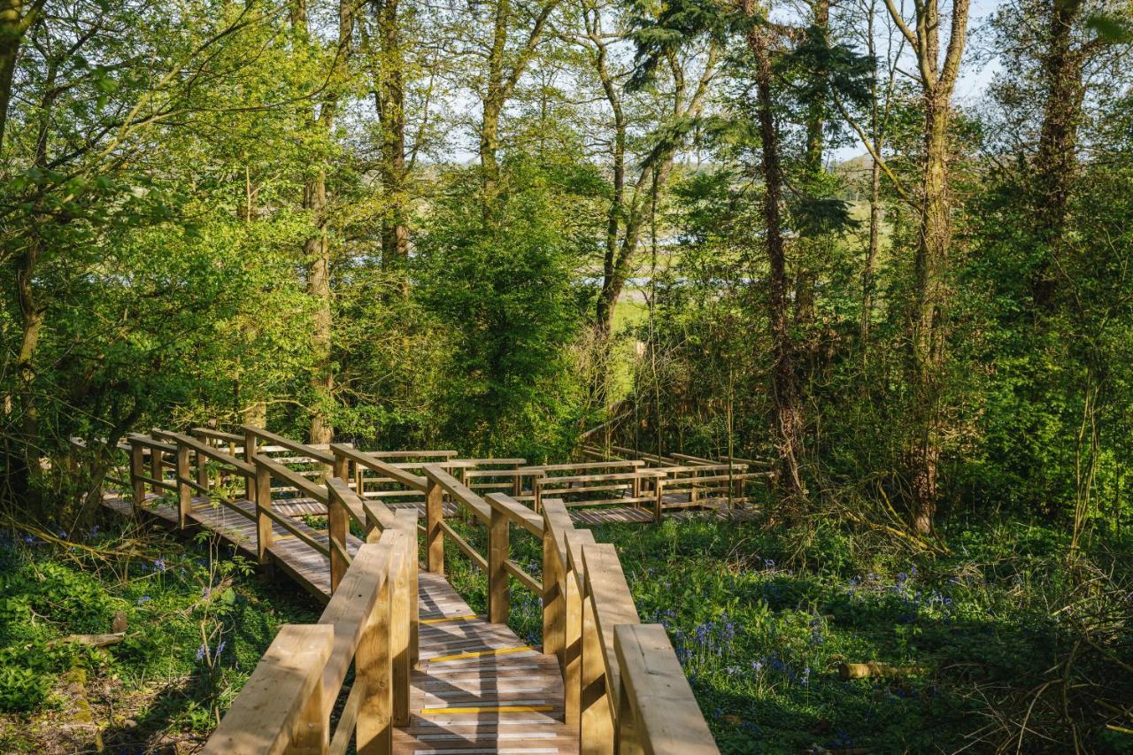 Rewildthings Treehouses *