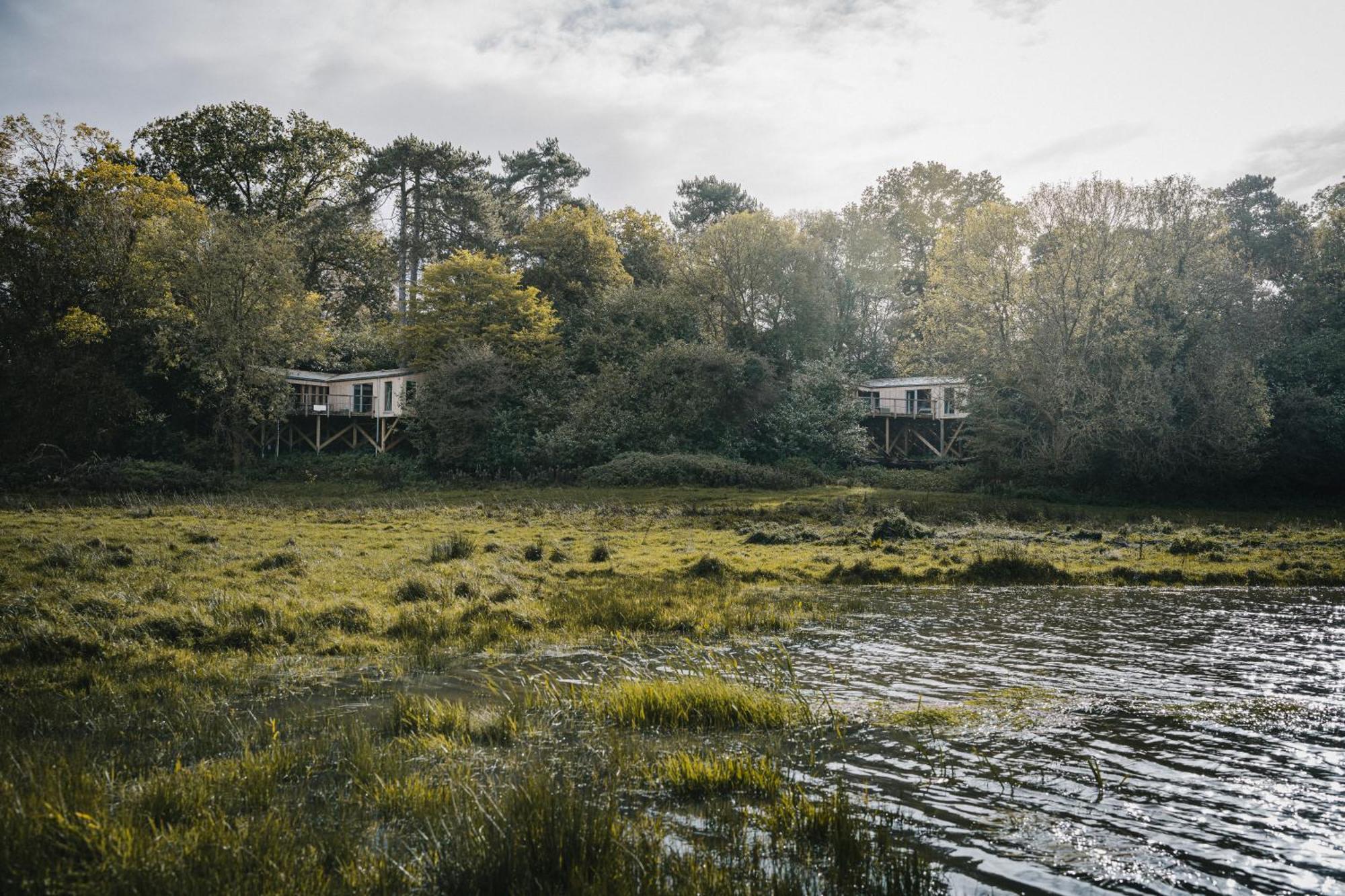 Rewildthings Treehouses *