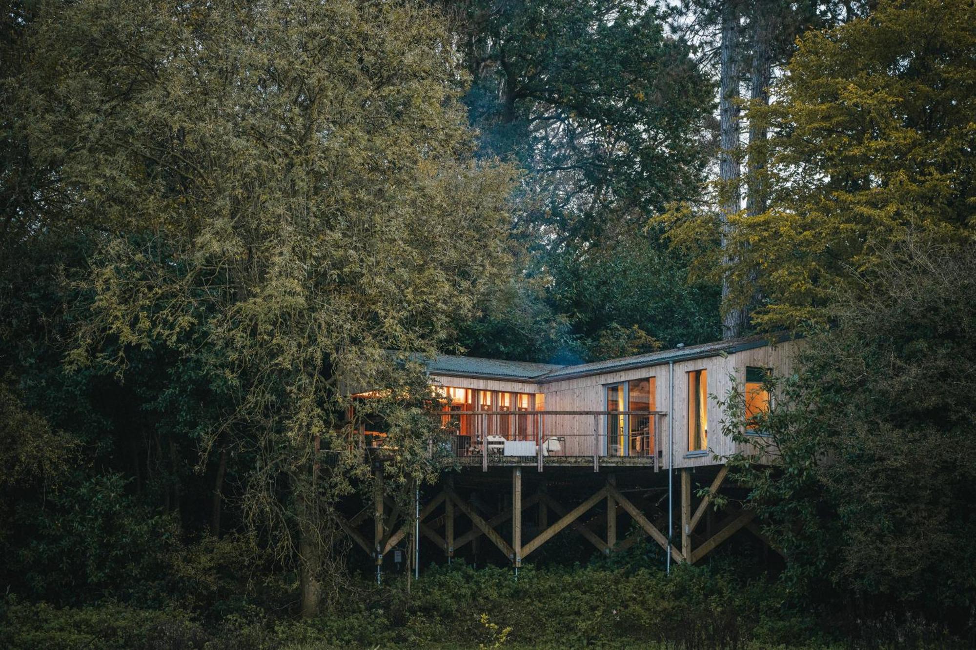 Rewildthings Treehouses *