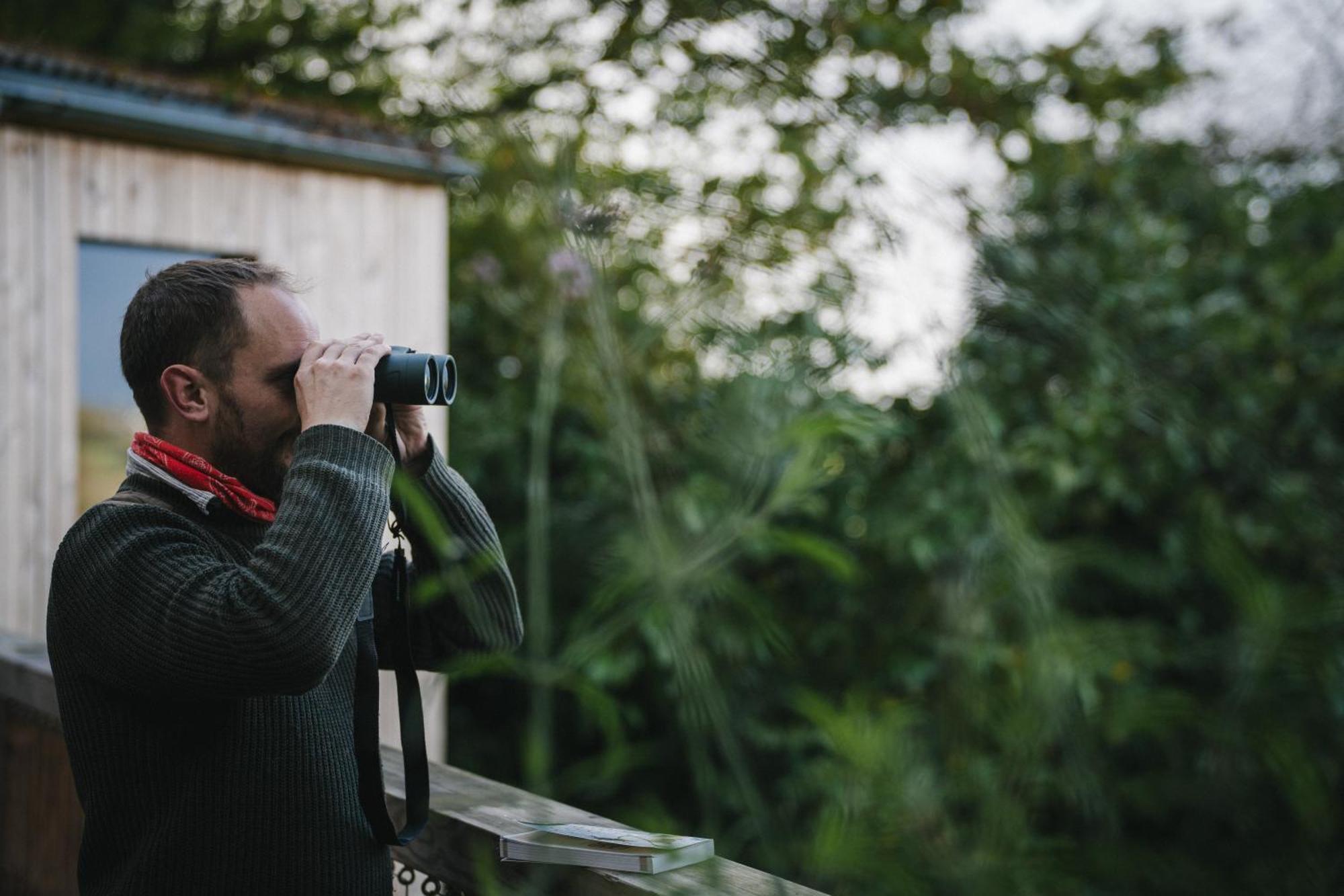 Rewildthings Treehouses Chalet Gloucester
